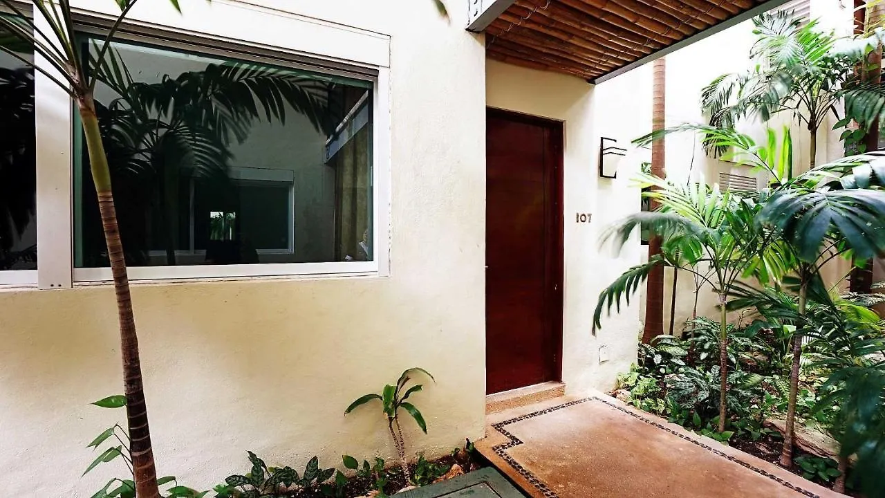 פלאייה דל כרמן Meridian 107 Condo פלאייה דל כרמן